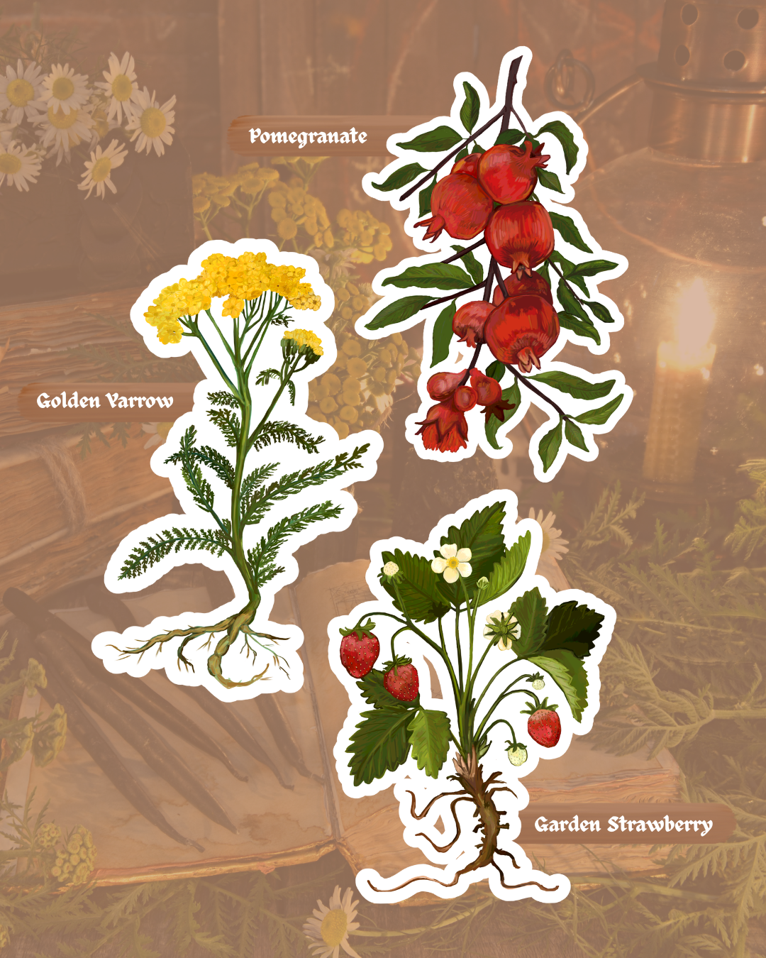 Green Witch Garden Sticker Pack | Vinyl Stickers | Waterproof Glossy Finish