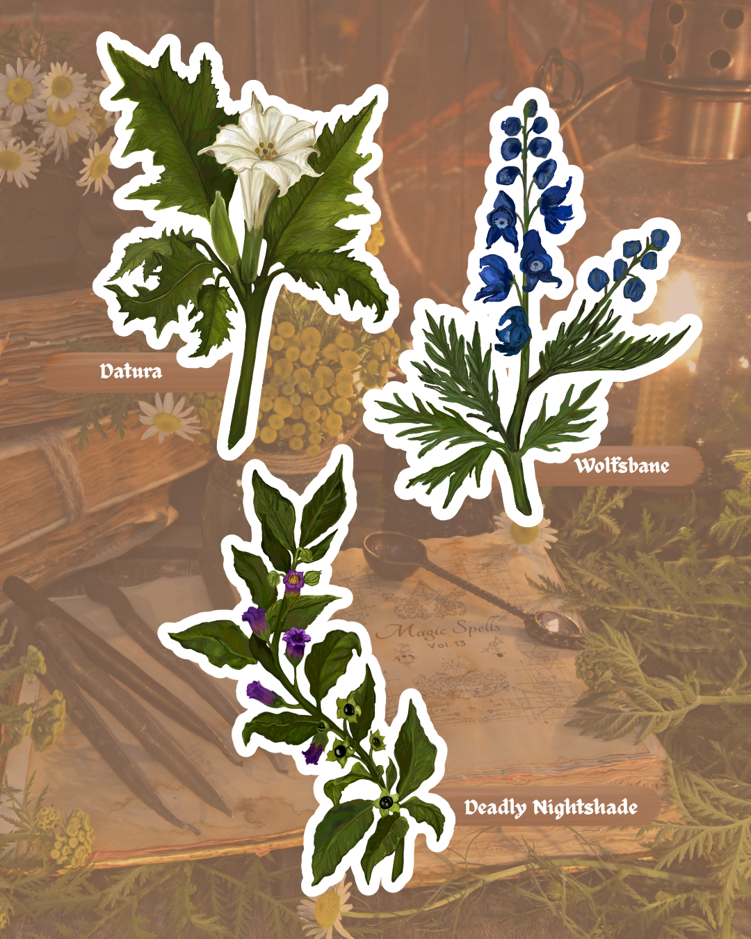 Green Witch Garden Sticker Pack | Vinyl Stickers | Waterproof Glossy Finish