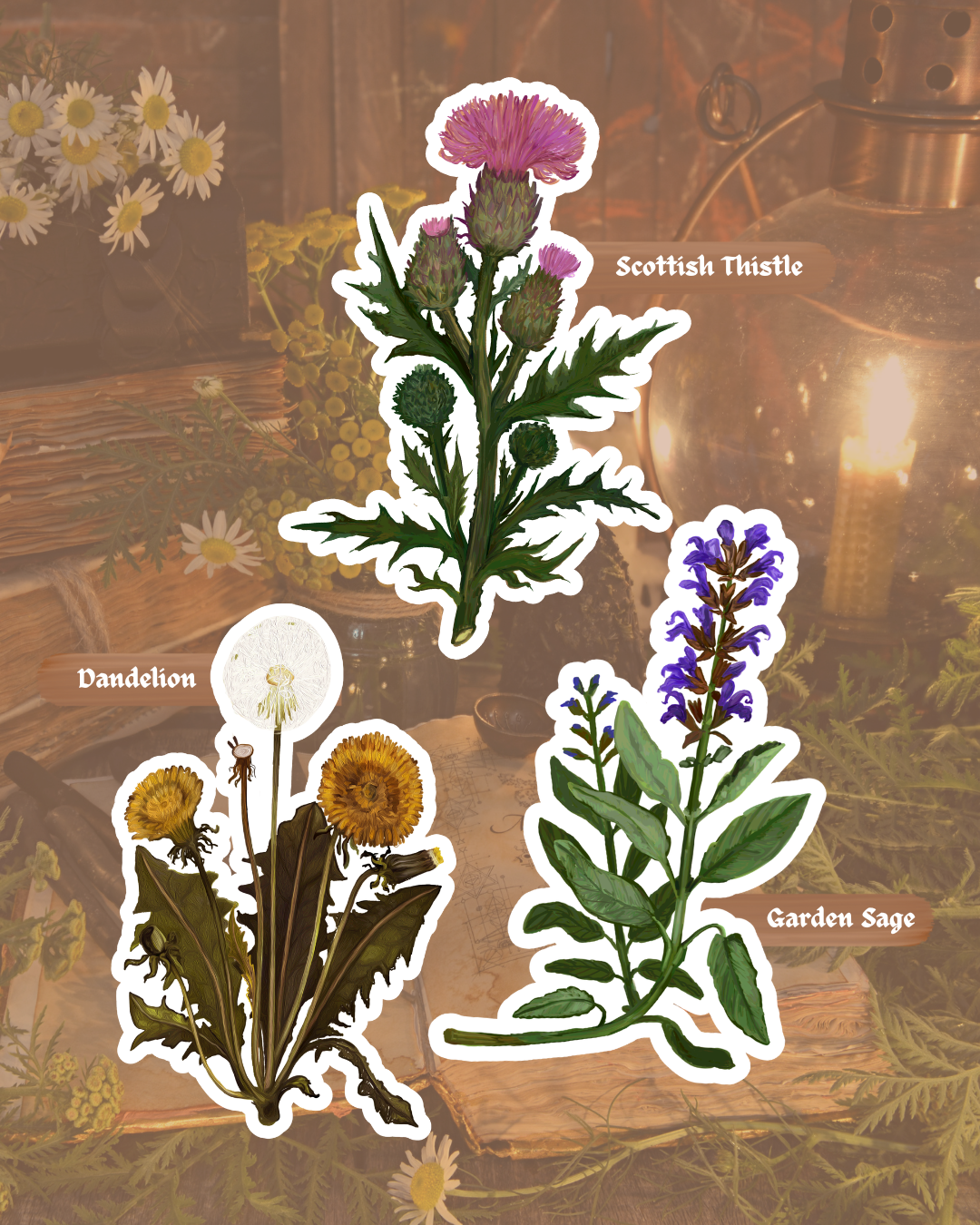 Green Witch Garden Sticker Pack | Vinyl Stickers | Waterproof Glossy Finish