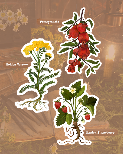 Green Witch Garden Sticker Pack | Vinyl Stickers | Waterproof Glossy Finish